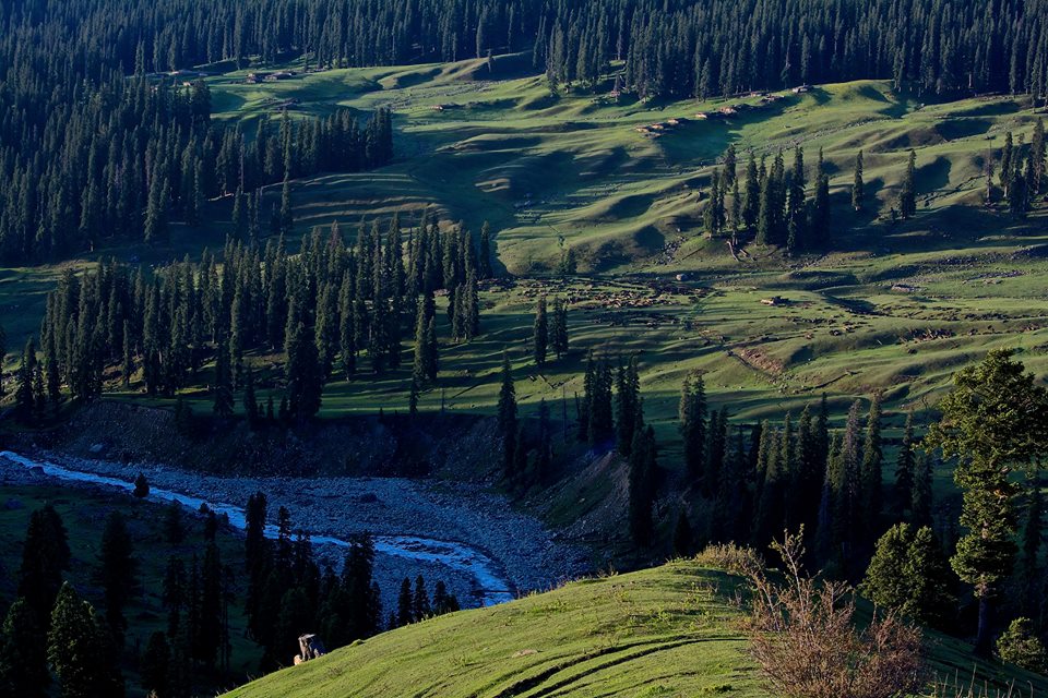 Tosa Maidan Trek